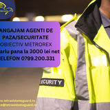 Agenti de paza/ securitate